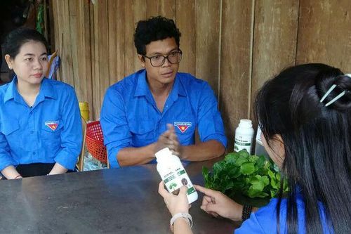 Thanh niên dân tộc thiểu số khởi nghiệp