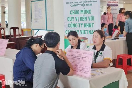 Nghịch lý cung - cầu lao động