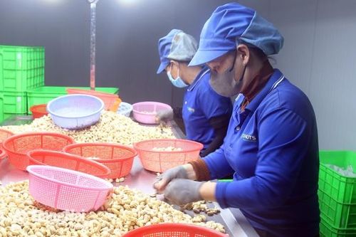 Vào mùa sản xuất hàng Tết