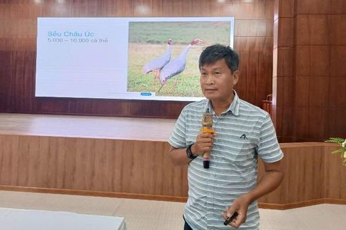 Nâng cao nhận thức về công tác bảo tồn sếu đầu đỏ tại Vườn Quốc gia Tràm Chim