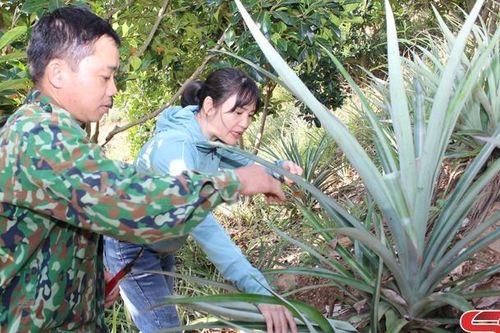 Liên kết nâng cao giá trị sản phẩm địa phương