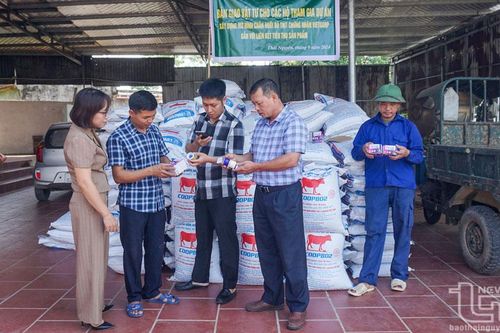 Hỗ trợ sản xuất an toàn trong chăn nuôi: Hiệu quả, thiết thực