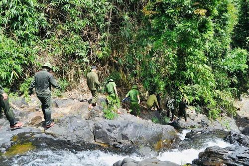 Ban Quản lý Rừng phòng hộ Sông Bồ: Đổi mới phương thức quản lý, nâng cao hiệu quả hoạt động