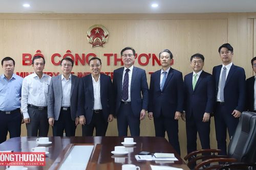 Tập đoàn Posco (Hàn Quốc) mong muốn đầu tư tại Việt Nam trong lĩnh vực năng lượng