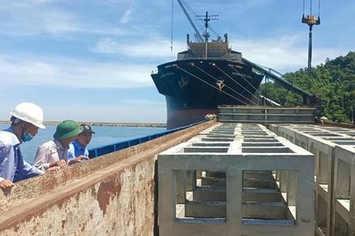 Thừa Thiên – Huế: Xin dừng triển khai hợp phần trồng, phục hồi san hô với tổng mức đầu tư 20 tỷ đồng
