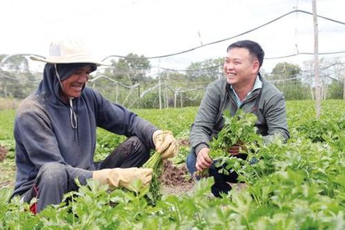 Để không rơi vào cảnh 'tự bơi' khi khởi nghiệp nông nghiệp
