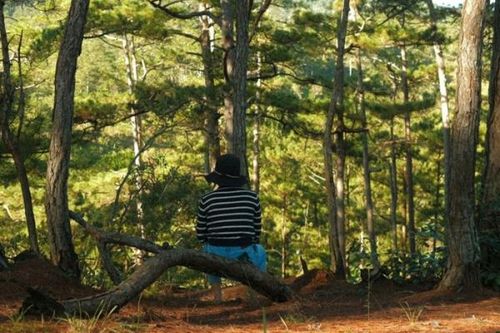 Tìm được cô gái cắt đứt liên lạc với gia đình, 'bỏ phố về rừng' cách nhà hơn 1.000km