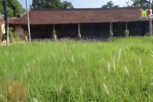 Nét xưa ở làng cổ Đông Ngạc