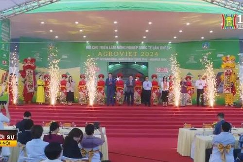 Trên 250 gian hàng tham gia Hội chợ Nông nghiệp Quốc tế