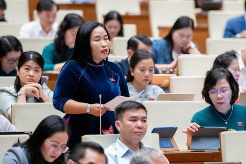 Cần nhìn nhận thấu đáo về vấn đề dạy thêm, học thêm để quy định cụ thể và phù hợp