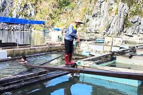 Tháo gỡ khó khăn trong việc giao khu vực biển