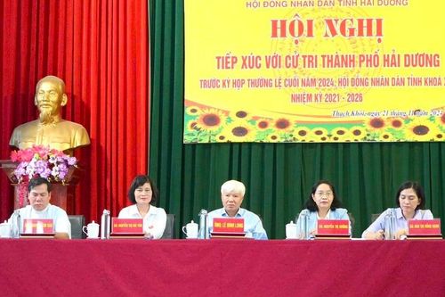 Hải Dương: Cử tri sốt ruột khi dự án Đảo Ngọc chậm triển khai