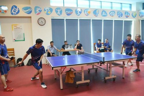 Giải Vô địch Bóng bàn Hội Nhà báo Việt Nam lần thứ 17 - Tranh cúp Sao Vàng 2024: Sẵn sàng khởi tranh!