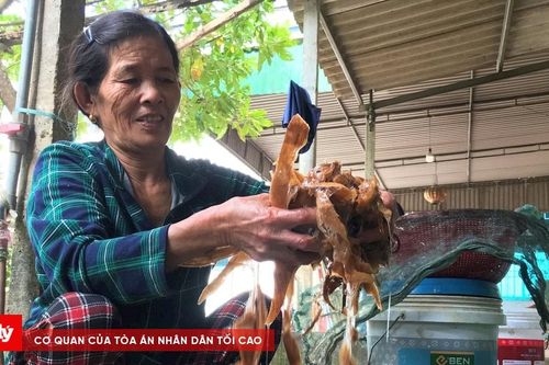 Độc đáo nghề giã cây làm giấy dó thủ công