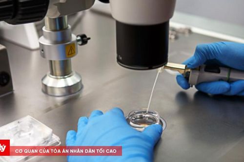 Phát hiện cơ sở IVF nhầm lẫn tinh trùng, phải làm sao?