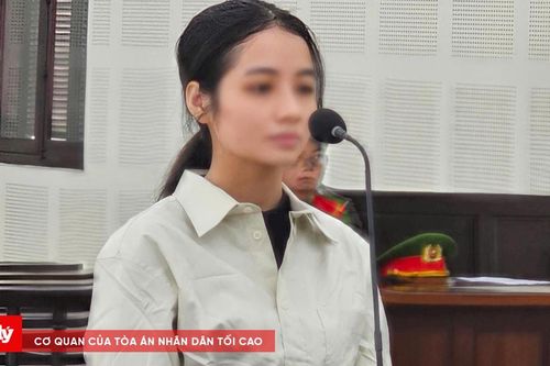 Phiên dịch viên tổ chức cho người khác ở lại Việt Nam trái phép