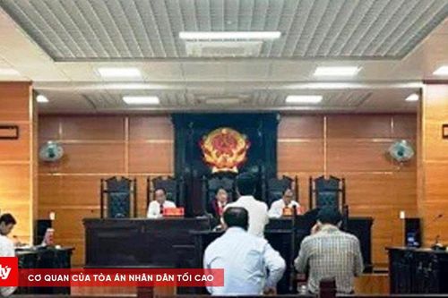 Vi phạm quy định về đấu thầu, 3 giám đốc doanh nghiệp lĩnh án