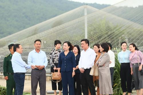 Đoàn công tác Trung ương Hội Nông dân đánh giá cao phong trào, công tác Hội ở Diễn Châu