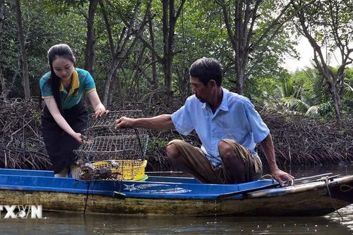 Khai thác đa dạng tiềm năng, tăng sức hút cho du lịch Cà Mau