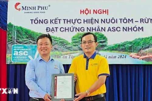 Cà Mau: 1.860ha tôm-rừng được cấp chứng nhận đạt chuẩn ASC
