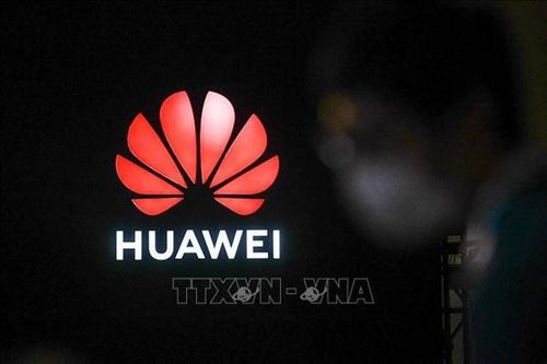 Huawei sẽ sản xuất hàng loạt chip AI tiên tiến nhất vào quý I/2025