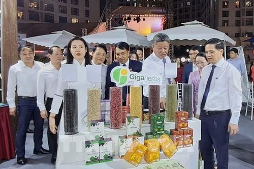 250 gian hàng tại Hội chợ đặc sản vùng miền Việt Nam 2024