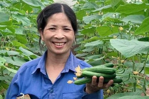 Giải pháp bán thực phẩm an toàn trực tuyến của các doanh nghiệp xanh