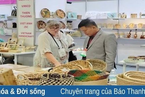 Nét đẹp nghề cói trên vùng đất Nga Sơn