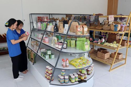 Đẩy mạnh hỗ trợ phát triển doanh nghiệp và thúc đẩy khởi nghiệp