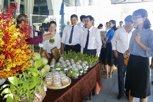 Quản lý chất lượng nông lâm sản và thủy sản: Tăng cường kiểm tra, giám sát gắn với tuyên truyền