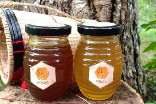 Xây dựng nhãn hiệu cộng đồng 'Mật ong Đưng K'Nớ'