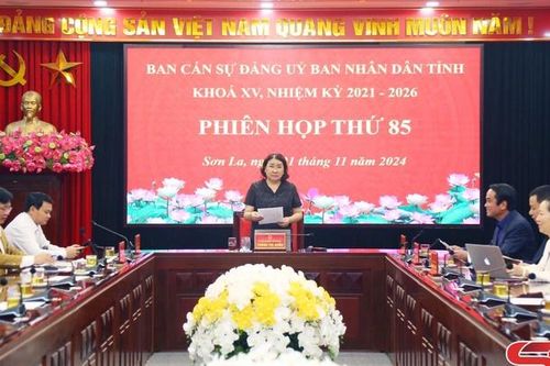 Phiên họp thứ 85, Ban cán sự Đảng UBND tỉnh