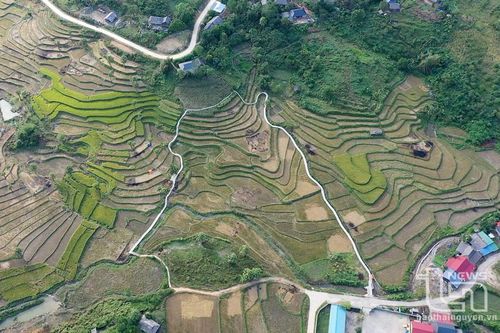 Đưa vào sử dụng đường đi dạo trên Bản Tèn