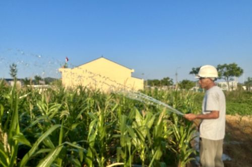 Đại Từ: Giá trị sản xuất nông, lâm nghiệp, thủy sản tăng 4,17%