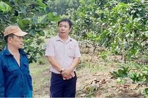 Những cựu chiến binh vươn lên làm giàu