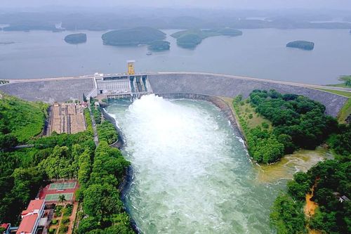 'Cá mập' Singapore quyết thâu tóm Cơ Điện Lạnh (REE)