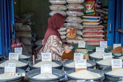Chính sách tăng thuế VAT sẽ ảnh hưởng tới giá gạo ở Indonesia