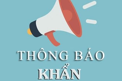 Tìm người biết, chứng kiến vụ tai nạn giao thông tại Thanh Oai (Hà Nội)