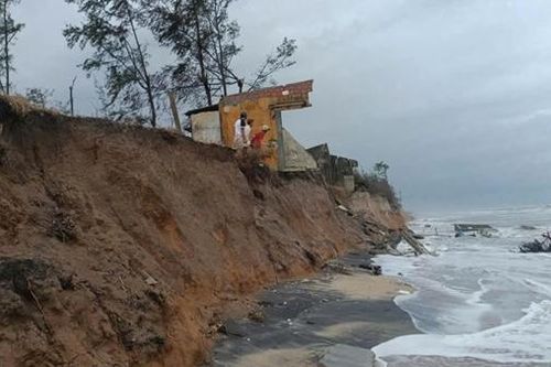 Nơm nớp nỗi lo sạt lở nghiêm trọng bờ biển, rừng dần biến mất