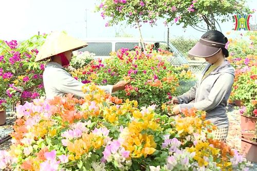 Lễ hội sắc hoa trên miền di sản