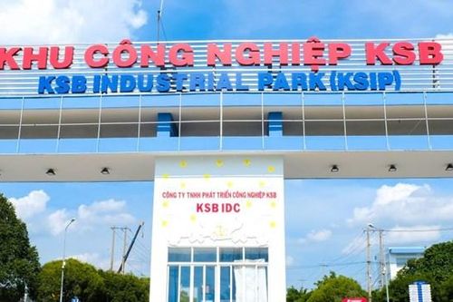 Bimico lợi nhuận giảm, dòng tiền âm, cổ phiếu 'lao dốc'