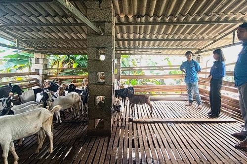 Huyện đoàn Hạ Lang đồng hành cùng thanh niên khởi nghiệp