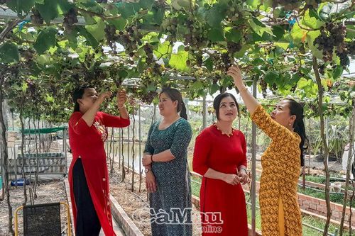 Phát triển du lịch sinh thái