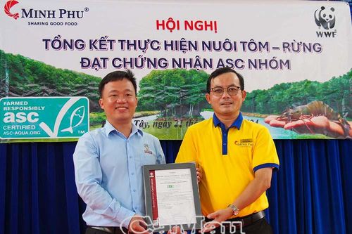 Chứng nhận ASC Group mô hình tôm - rừng đầu tiên lớn nhất Việt Nam và thế giới