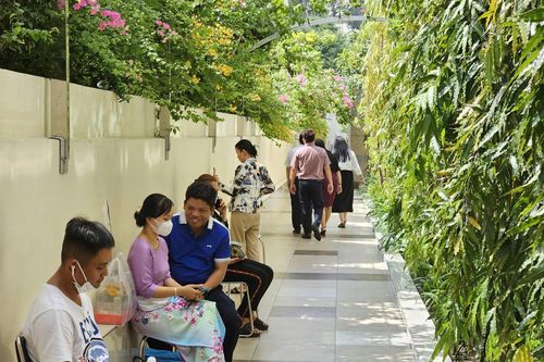 Bệnh viện Đại học Y Dược TP.HCM xây dựng mô hình y tế xanh