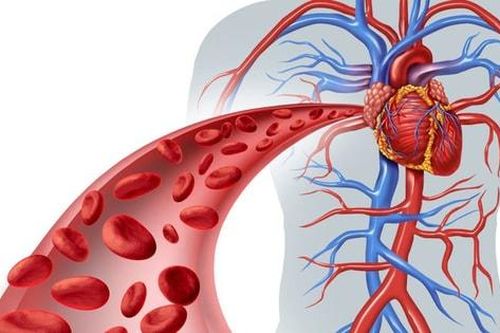 Đứng làm việc nhiều không tốt cho sức khỏe