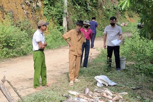 Mua thuốc trừ sâu trên mạng diệt cả ao cá nhà hàng xóm