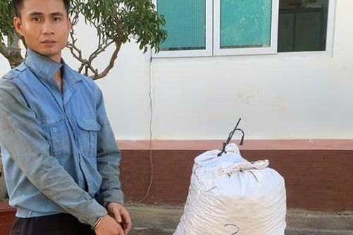 Bắt giữ đối tượng trộm cắp cà phê ở Lâm Đồng