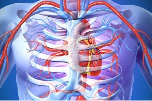 Cần phát hiện sớm dị dạng lồng ngực bẩm sinh