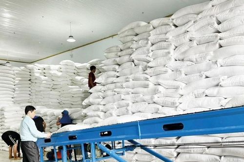 Cấp hơn 2.100 tấn gạo cho học sinh nghèo Bắc Kạn, Cao Bằng và Thái Nguyên